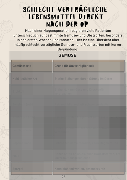 Digitale Ausgabe (PDF/digital ausfüllbar) - Dein Sach- & Tagebuch zur Magenverkleinerung